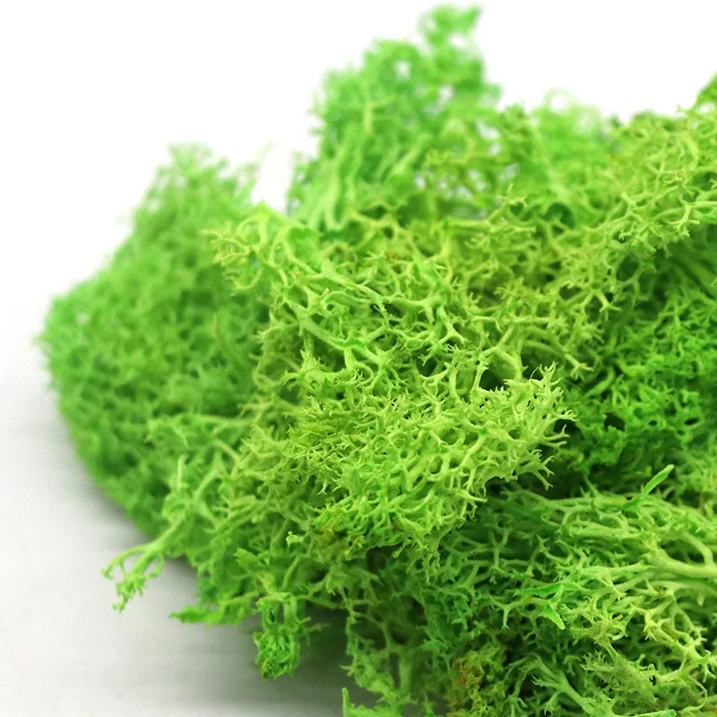 50g/bag High quality artificial green plants immortal fake flower Moss grass home decorative wall DIY flower grass accessories