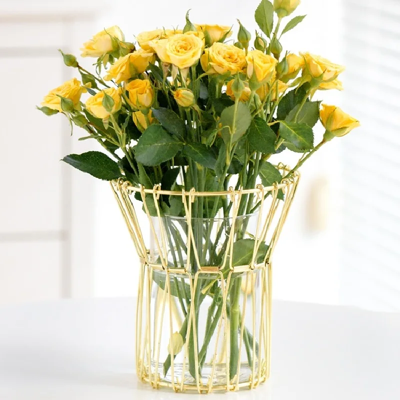 

Vase Transparent Glass Decoration Living Room Flowers And Roses Nordic Fashion Creative Simple Web Celebrity Light Luxury Iron
