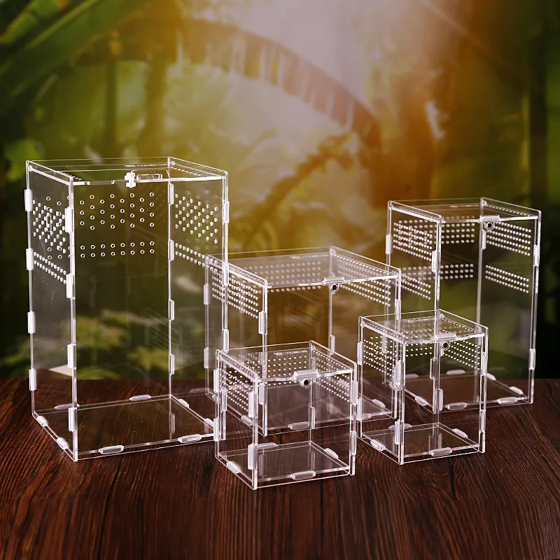 Reptile Breeding Box Acrylic Spider Lizard Scorpion Enti's Acrylic Assembled Transparent Insect Breathable Terrarium