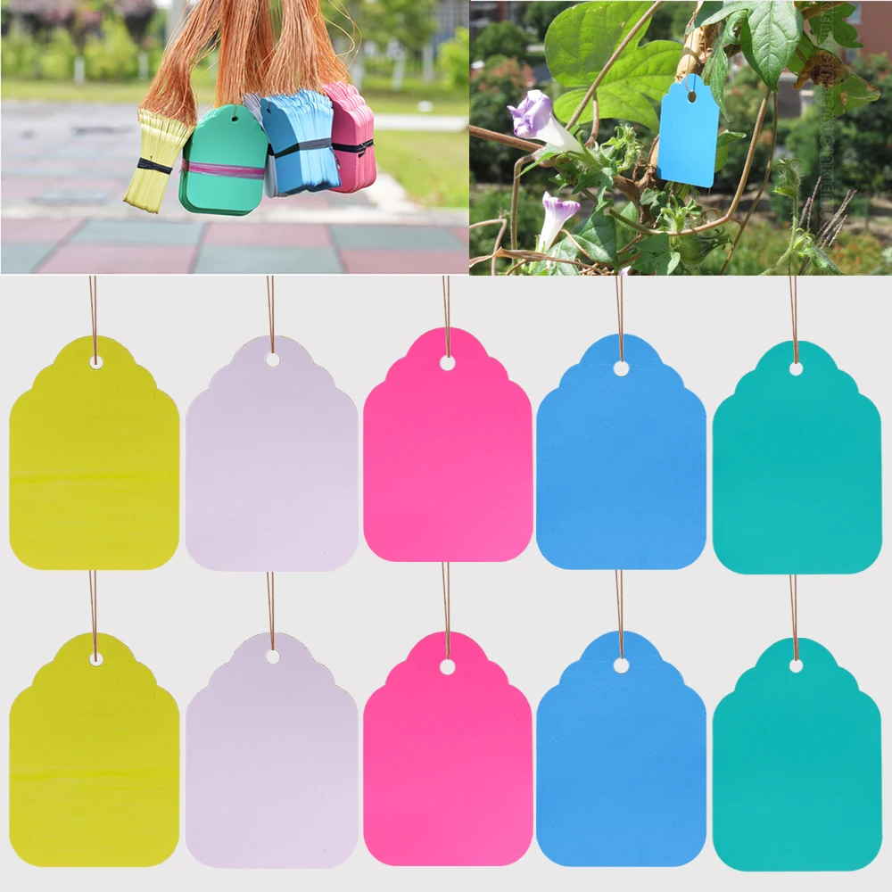 100pcs Of 5 Sizes And 5 Colors With Rope Hanging Labels Plastic Waterproof Durable Flowers Garden Potted  Herbs Plant Label Tag