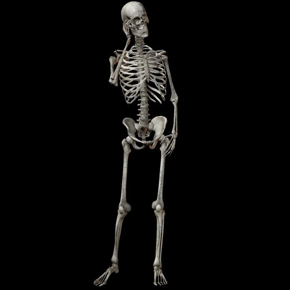 90cm Simulation Human Skeleton Ornament Halloween Party Bar Haunted House Props