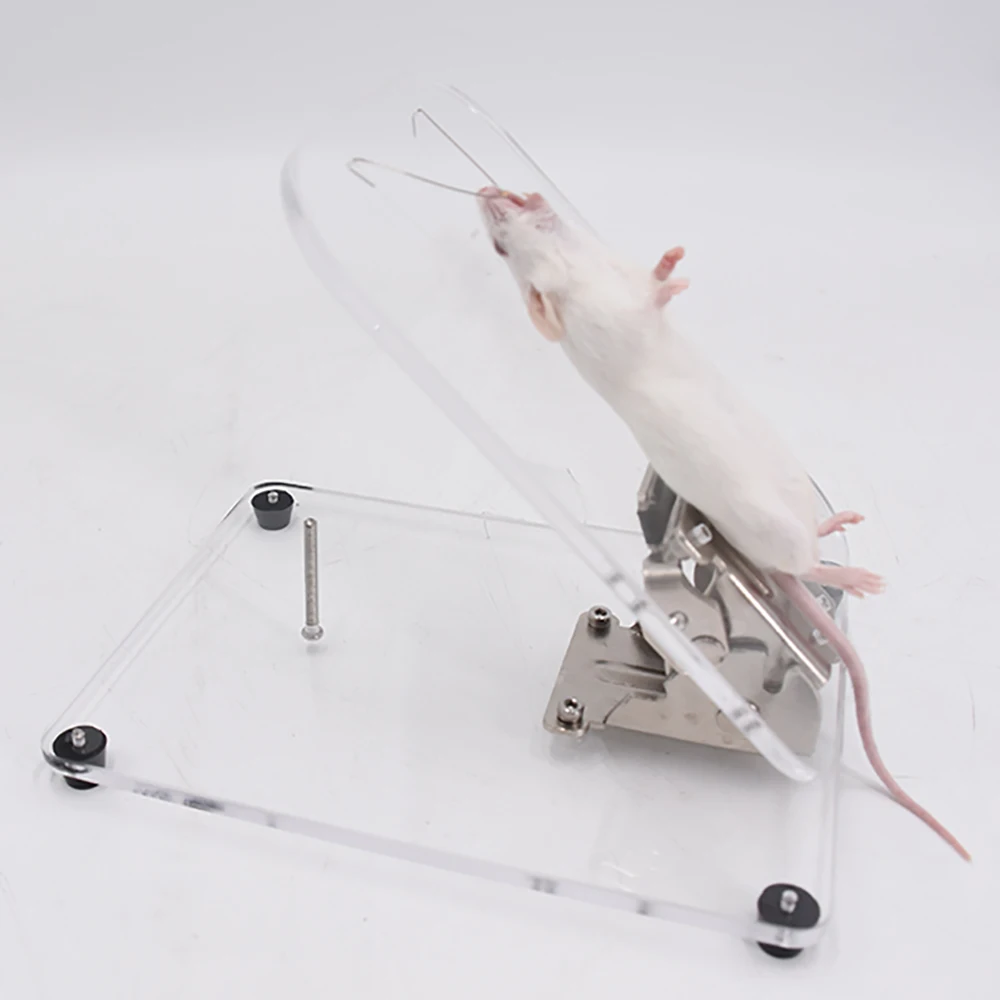 1PCS Mouse Dissecting Table Rat Planing Fixed Plate Experiment Small Animal Operating Adjustable Scientific Laboratory Tool