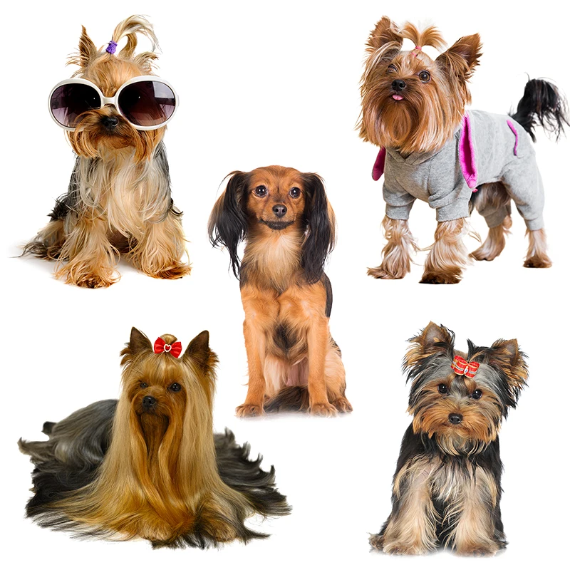 Three Ratels QD102 HD pixel carino Yorkshire terrier adesivo per cani impermeabile vinile avvolgimento automatico per cappuccio per auto laptop home