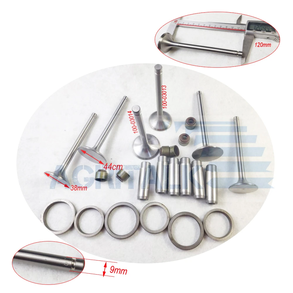 Fujian lijia motor (modelo antigo) 2 cilindros/3 cilindros, conjunto de kit de válvula, número da peça: 100-03014/100-03013 (código de válvulas)