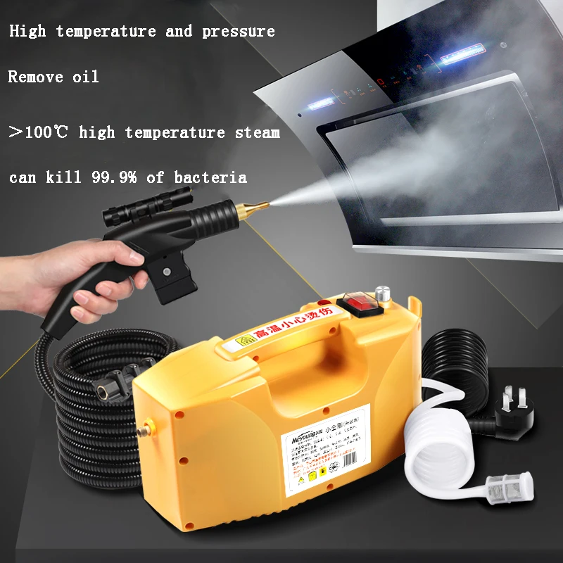 Handheld Electric Steaming Cleaner 2600W/3000W Available Steam Cleaning Machine