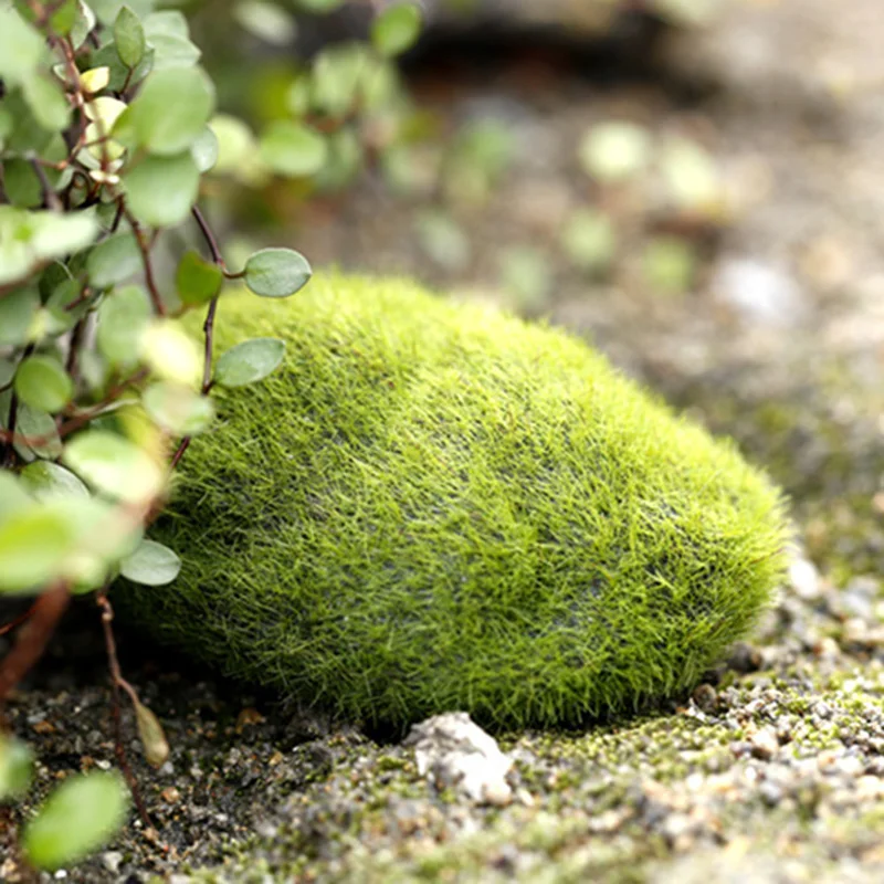 Fondo de fotografía en miniatura, adorno de simulación de musgo, piedra verde falsa, liquen de roca para accesorios de estudio fotográfico