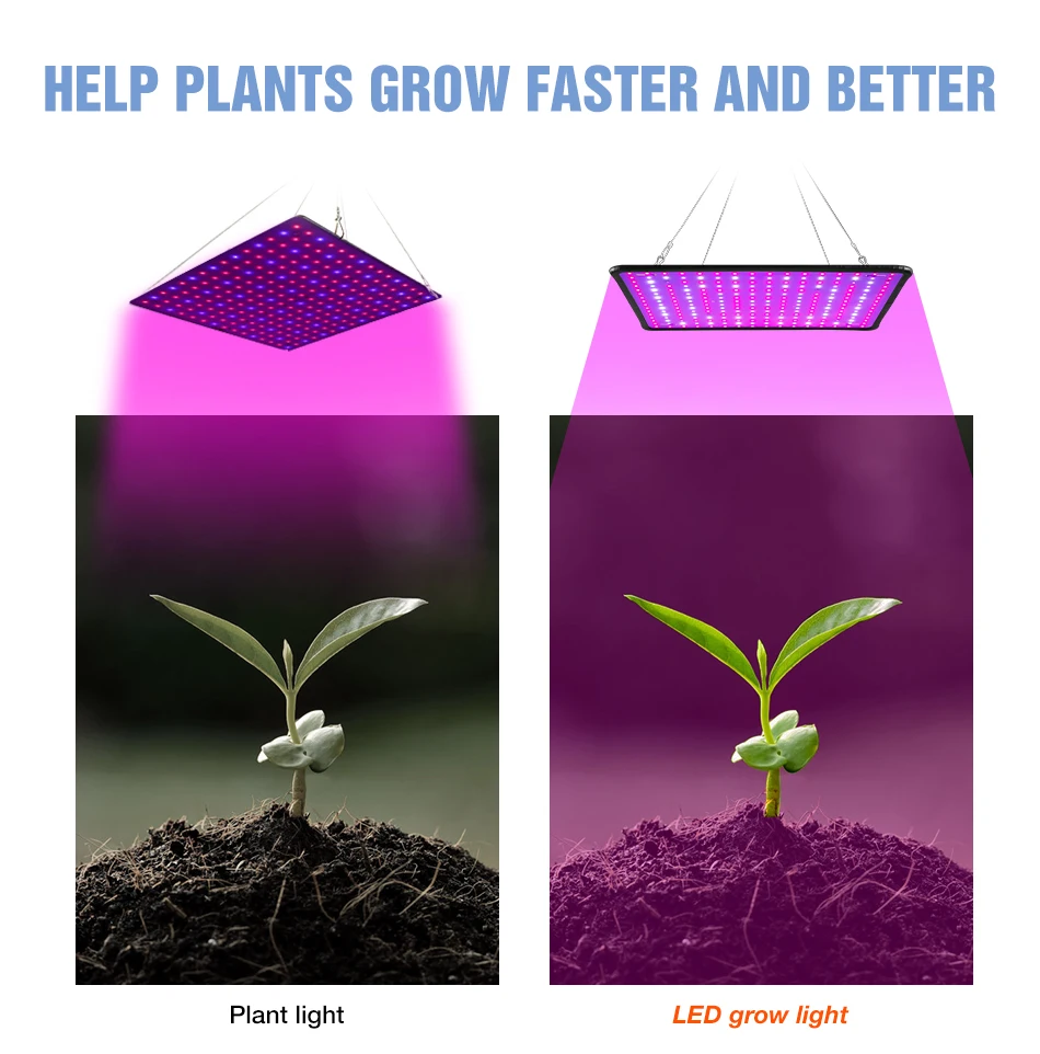 Phytolamp LED de espectro completo para plantas, luz de cultivo, semillas de flores de interior, cultivo hidropónico, lá