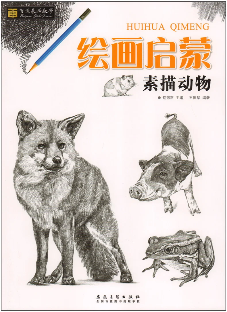 Sketch Painting Enlightenment Book drawing structural geometry still life animals landscape plaster Basic basic art textbook