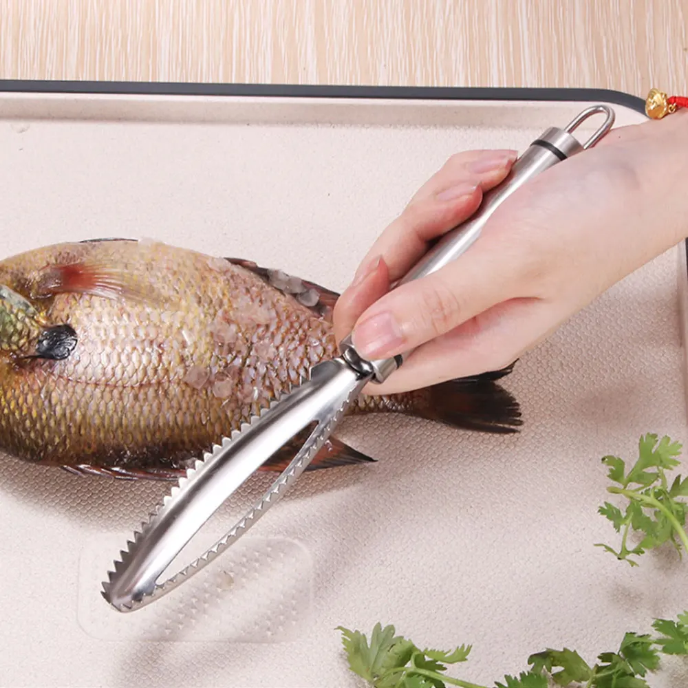 Fishing Tool Kitchen Accessories Cleaner Products Aquatic Animals Gadget Skinners  Knife Scale Remover Clamp 304 Stainless Steel