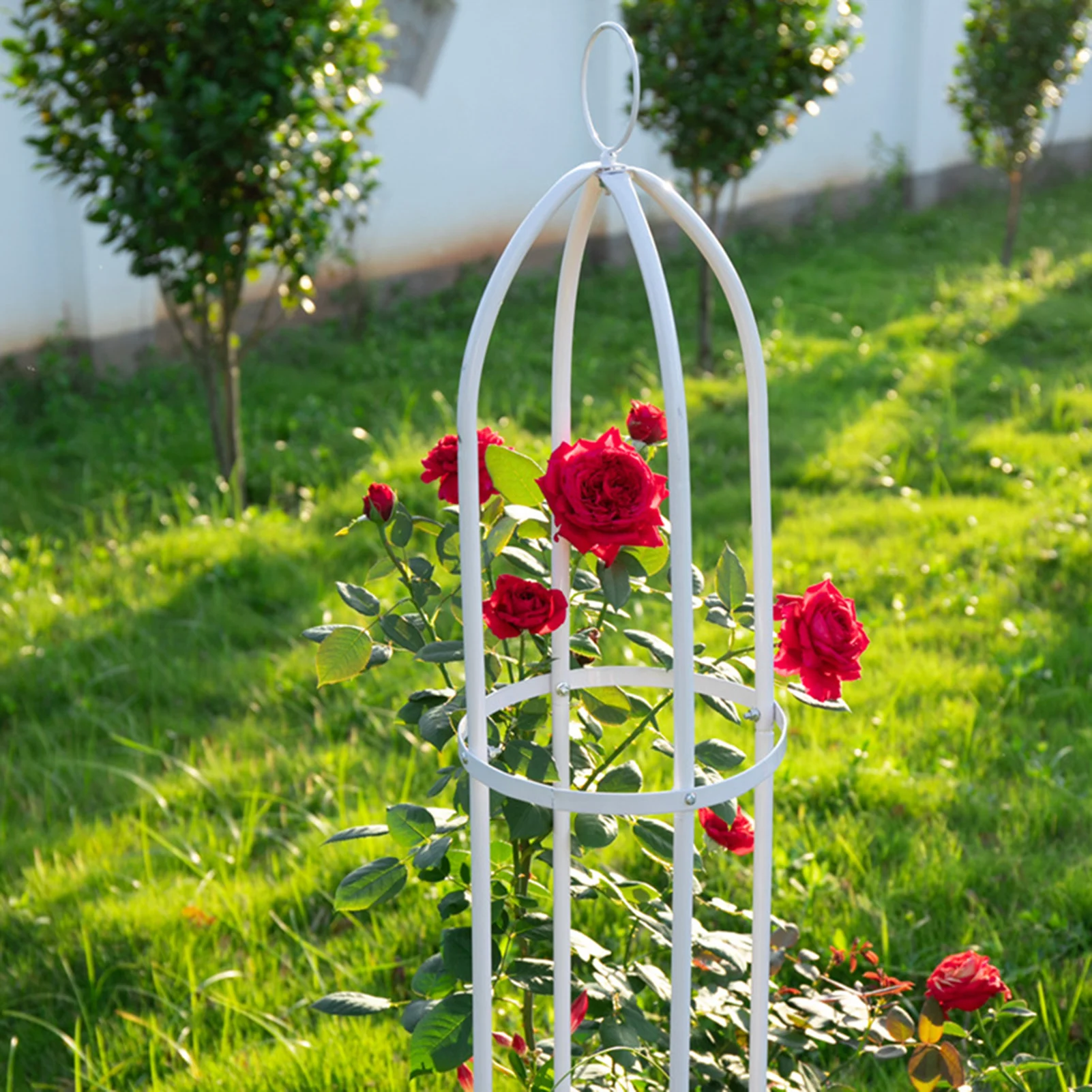 142/149cm ogród Trellis Obelisk roślin stalowa rama dla rośliny pnące kwiat winorośli trwałe podpórka ogród sadzenia