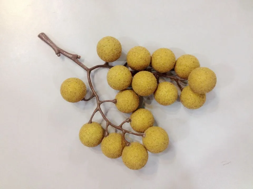 fruit toy The Model Of Longan Fruit False Simulation Play Toys And Vegetable Food Home Decorations Unisex Finished Goods Plastic