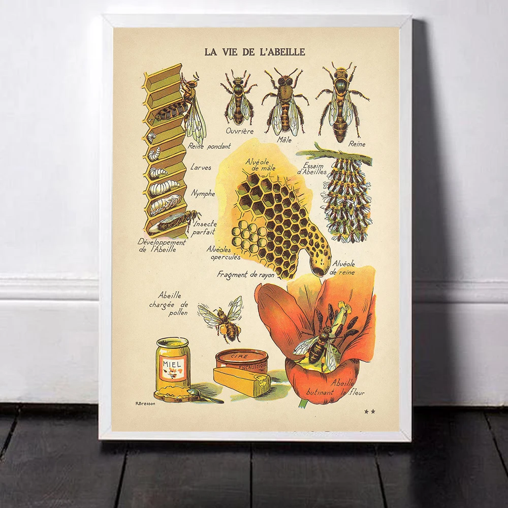 Antique Bees Prints Natural Poster Insects Vintage French Honey Bee Wall Art Canvas Painting Sepia Toned Bee Diagram Wall Decor