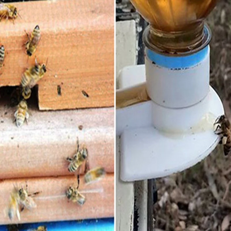 

10pcs Bee Feeder Honey Entrance Feeder Beekeeping Cap Thread Feeder Bee Keeping Equip Hive Tool Queen Rearing System h2