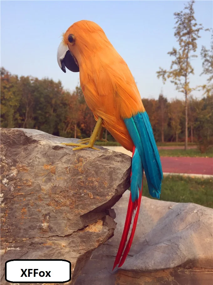 new real life red tail parrot model foam&feather orange&blue parrot bird gift about 30cm xf2589