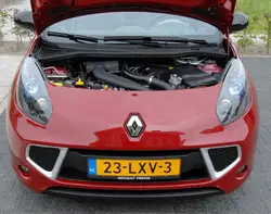 for Renault Wind 2010-2013 Front Hood Bonnet Modify Gas Struts Carbon FIber Shock Damper Lift Supports