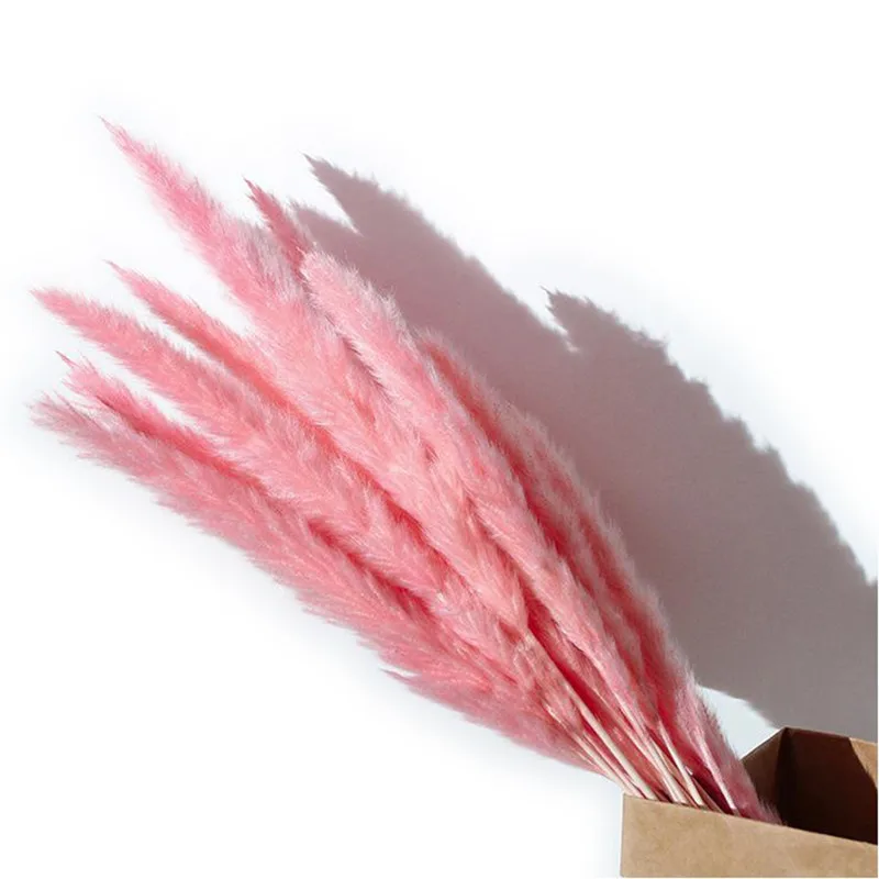 50cm Pampas15Pcs Dry Flower Pampas Grass For party Modern Home Decoration Ceremon Phragmites Fotografia Garden Decoration