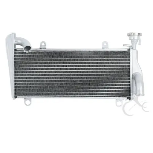 Motorcycle Upper Radiator Cooling Cooler For Ducati 1299 Panigale 15-18 1199 Panigale 12-15 959 Panigale 2016 899 Panigale 14-15