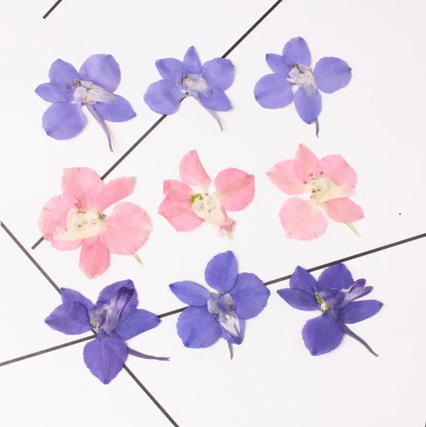 

120pcs Pressed Dried Consolida Ajacis Petal Flower Plant Herbarium For Nail Art Jewelry Bookmark Phone Case Invitation Card DIY