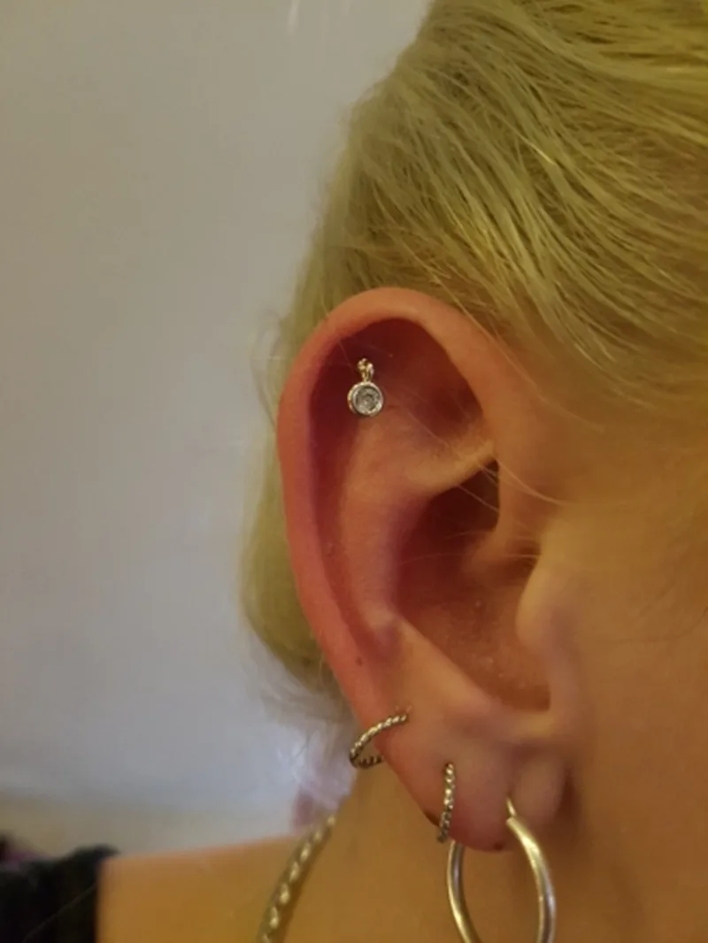 16G Rose Golden Zircon Stud Earring Stainless Steel Bars Moon Star Bow Knot Infinite Ear Cartilage Helix Tragus Piercing Jewelry image 5