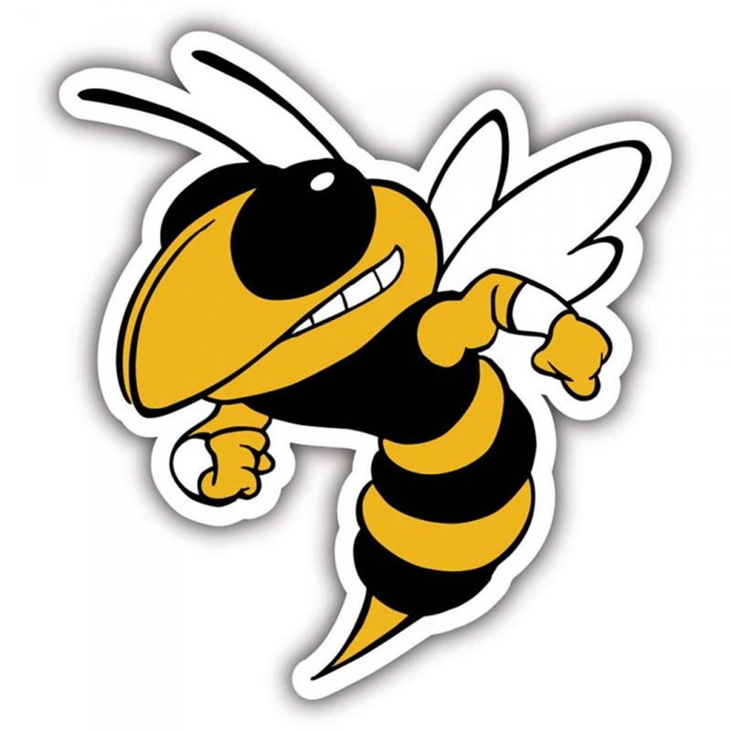 S40466# Various Sizes PVC Decal Angry Bee Car Sticker Waterproof on Bumper Rear Window Laptop Refrigerator Toilet