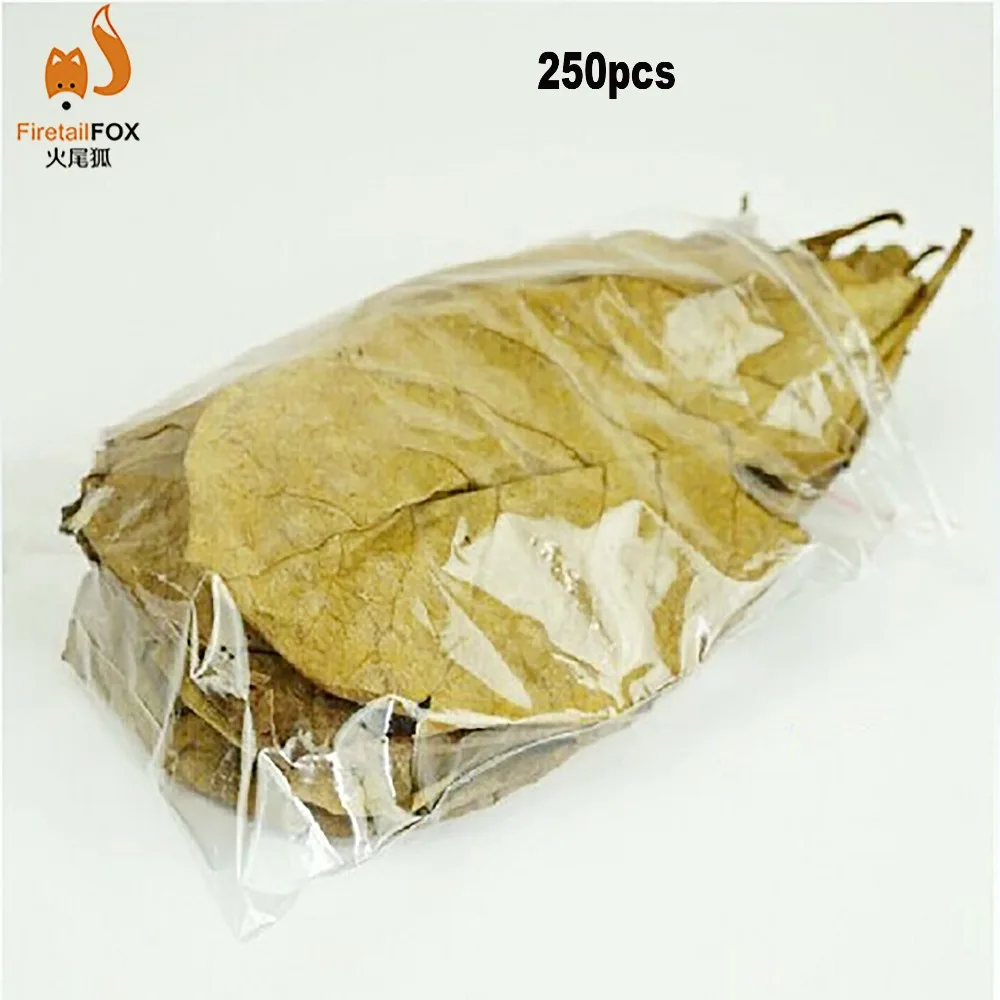 250pcs Nature Terminalia Catappa Foetida Almond Leaves Water Filter Aquarium Fish Tank Breeding Shrimp Snails Catfish Ornament