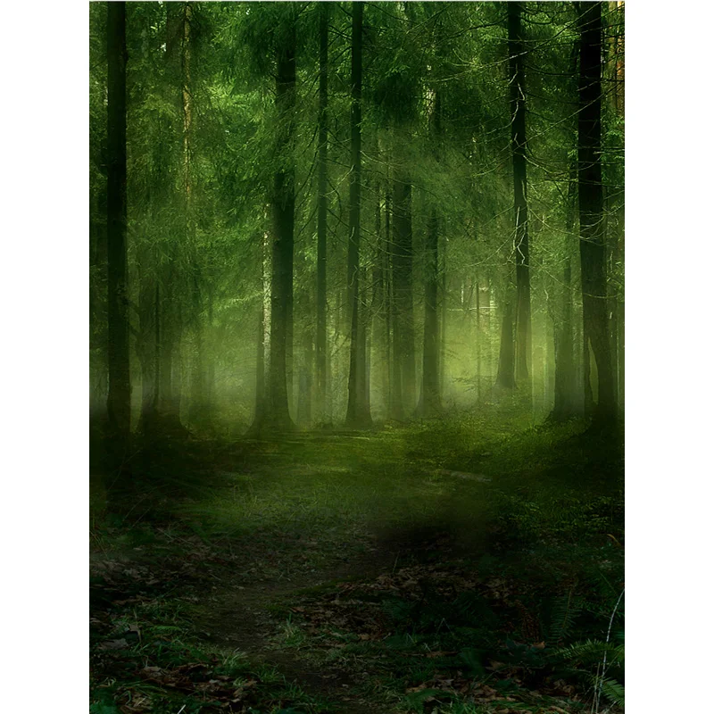 Natural Scenery Photography Background Forest Beach Landscape Travel Photo Backdrops Studio Props 21622 SLFJ-02