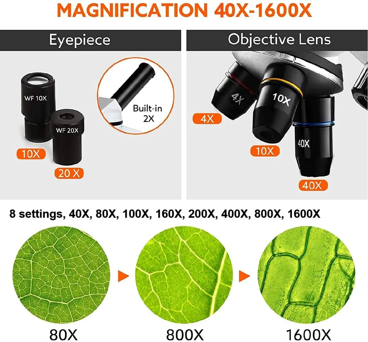 40X-2500X Microscopes for Kids Students Adults Powerful Biological Educational Microscopes with Slides Set Phone Adapter