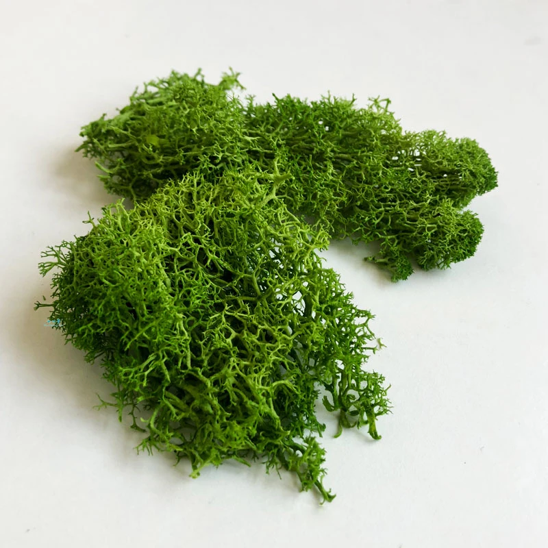 30g Artificial Lichen Moss Cluster Bushes Model Green Plants for Scale Building Material Miniature Landscape Model Diy Dioramas