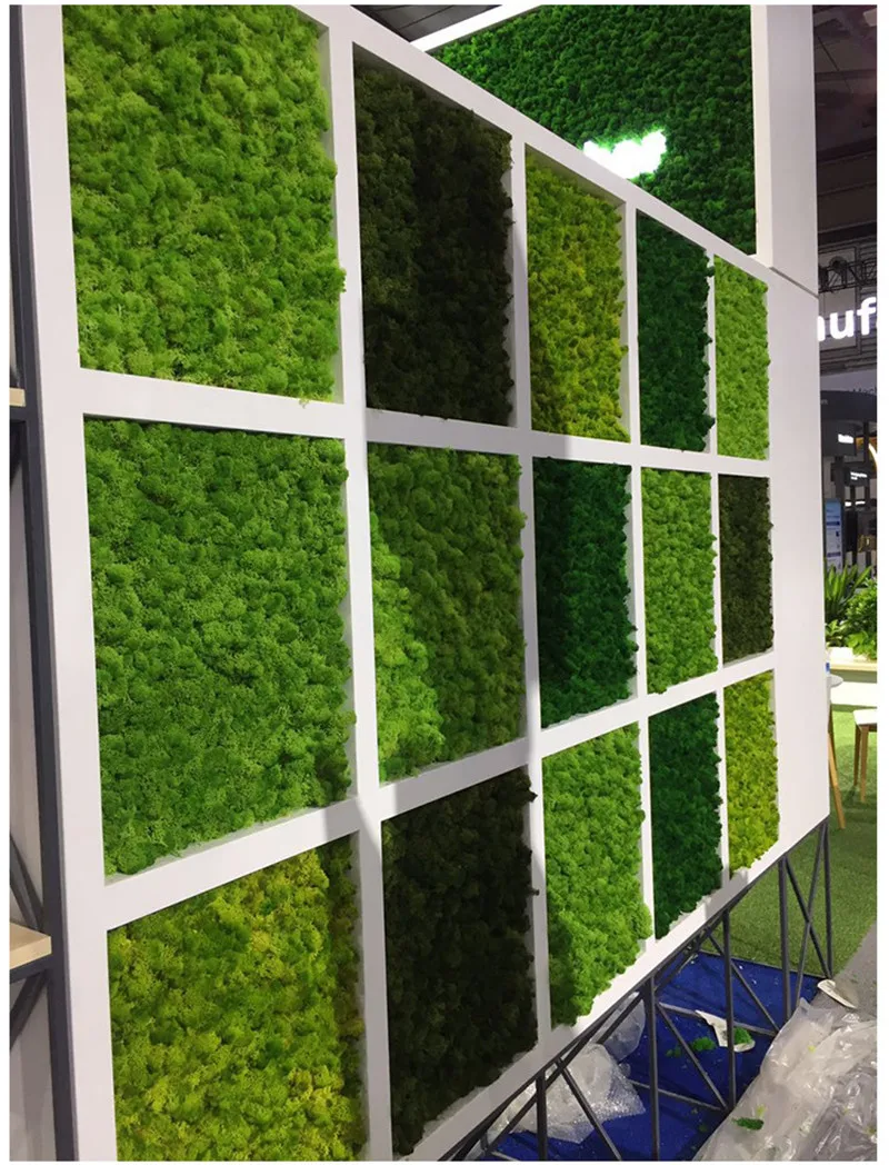 50g/bag High quality artificial green plants immortal fake flower Moss grass home decorative wall DIY flower grass accessories