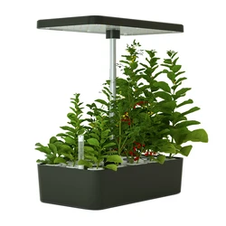 Sistema idroponico automatico dal Design moderno con luci di coltivazione a LED Real Indoor Urban Garden