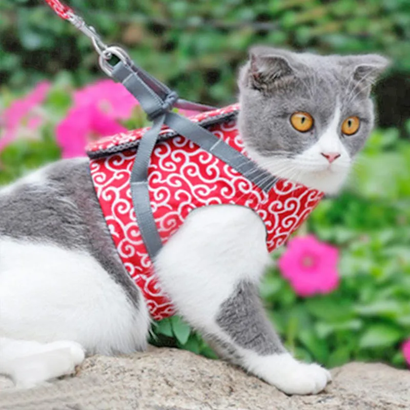 Cat Harness and Leash for Walking Lead Leash Set Adjustable Dog Collar Japanese Style Harness Vest Walking Leash For Dog Cat Pet