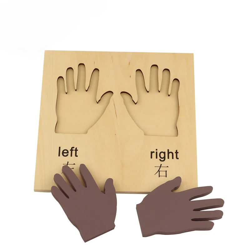 

Montessori Sensorial Right And Left Hands Early Education Hand Eye Coordinate Know Intelligence Development