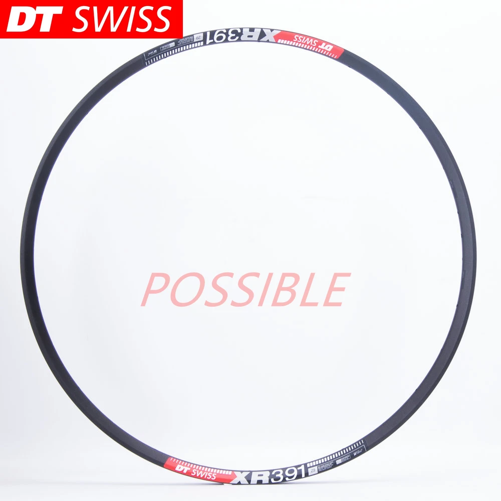 original Dt Swiss XR391 rim, 29 