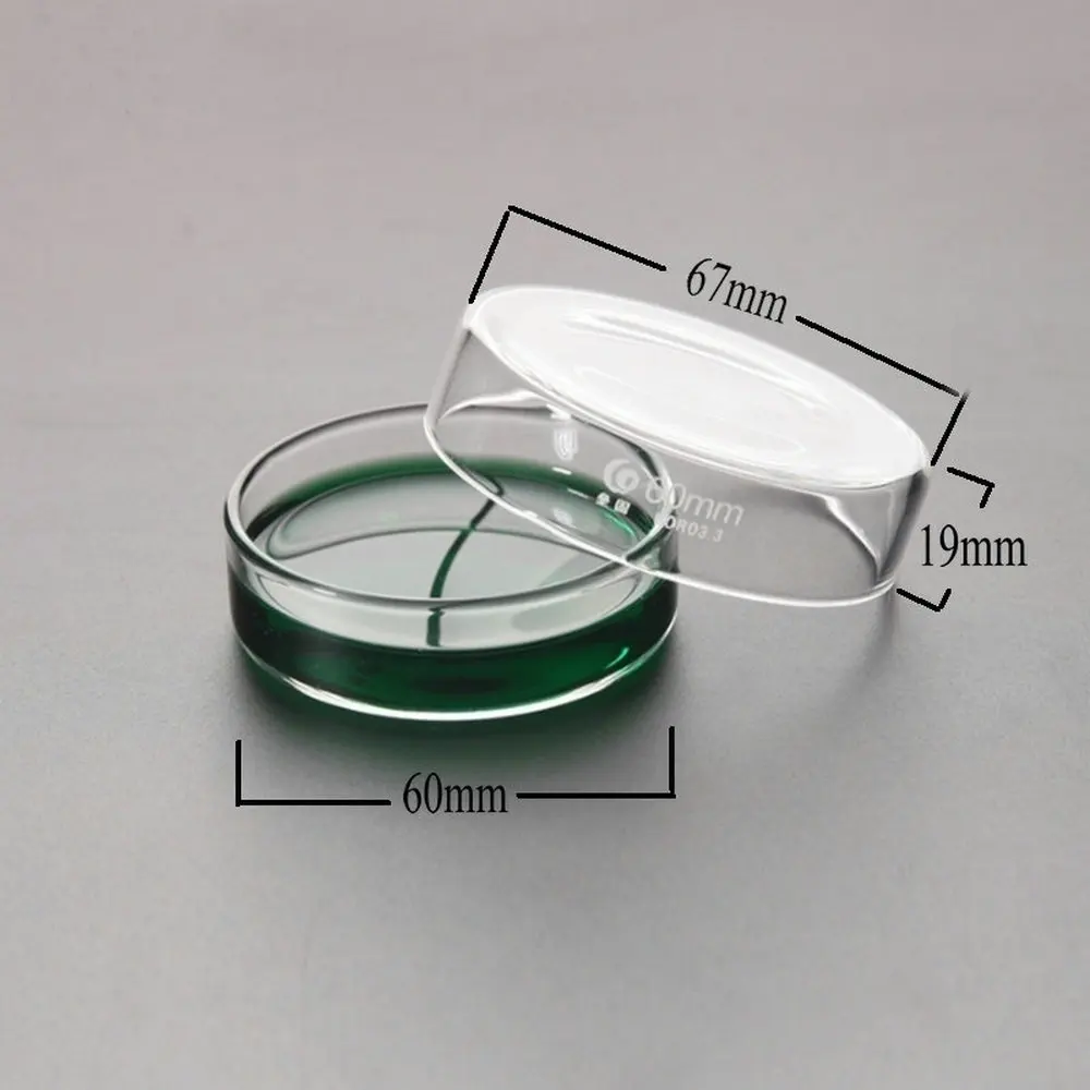 Plato de cultivo de Petri de vidrio de borosilicato, 60mm, para laboratorio de química, levadura bacteriana, 5 uds.