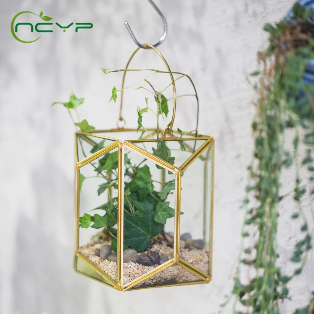 

NCYP Hanging Glass Flowerpot with Handle Copper Gold Echelon Geometric Terrarium Lantern Succulent Plant Wall Hanging Flowerpot