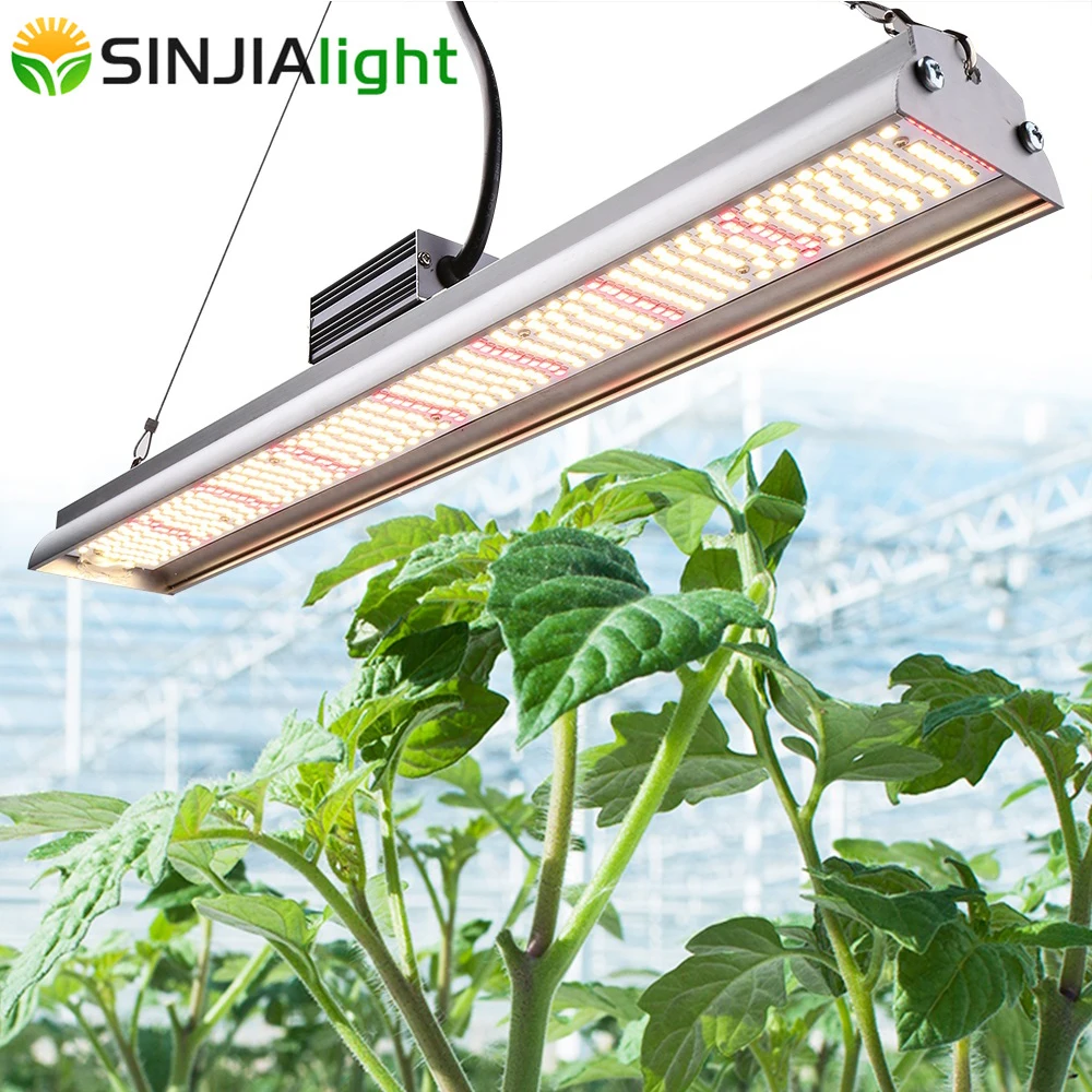 260W 500 LEDs Grow Light Full Spectrum LED Plant Phytolamp Growing Lamp for indoor garden plants bloom growbox grow tent