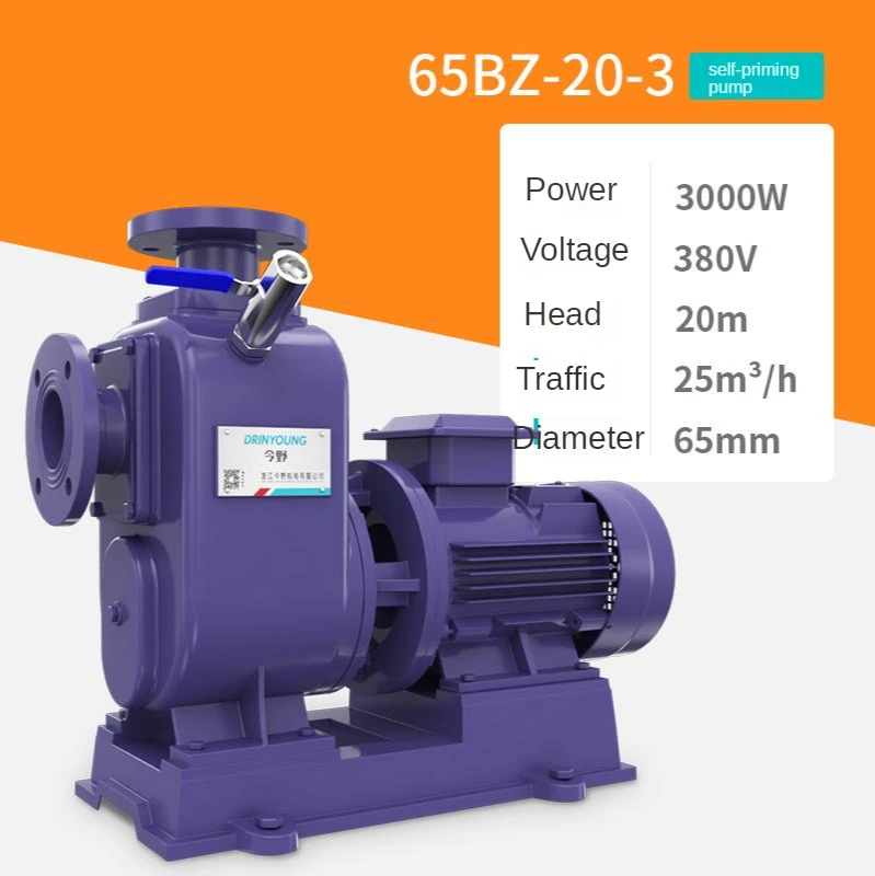 Pompa autoadescante industriale BZ Pompa centrifuga orizzontale per tubazioni 380V Pompa di pompaggio Pompa agricola di grande flusso