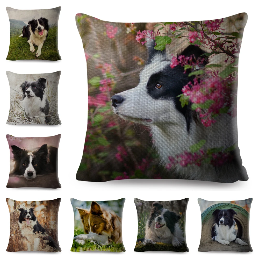 Scotland Border Collie Cushion Cover for Sofa Home Car Decor Cute Pet Animal Dog Printed Pillowcase Polyester Pillow Case 45x45