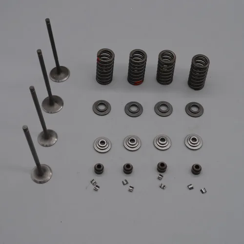 Válvula de salida de entrada de escape, resorte de sello de aceite ZS177MM, motor ZONGSHEN NC250 KAYO T6 BSE J5 RX3 ZS250GY-3, piezas de 4 válvulas