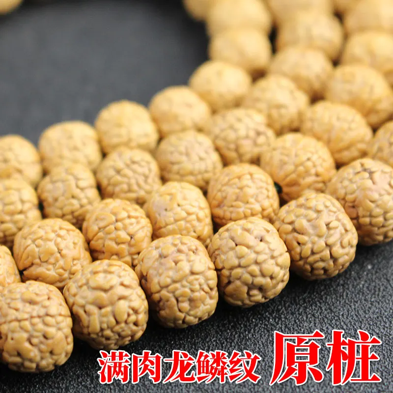 Little Rudraksha Bodhi Bracelet 108 Original Seed Five-Petal Full of Flesh Dragon Scales Buddha Beads Necklace