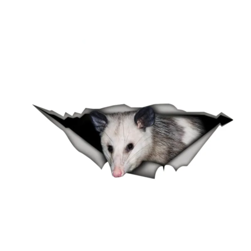 

Opossum, Наклейка 3D Pet, графическая виниловая наклейка, окно автомобиля, ноутбука, наклейка s 13 см x 4,8 см