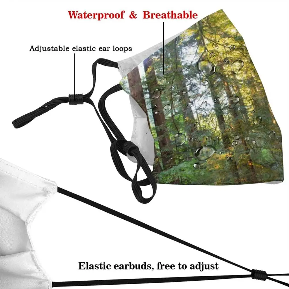 Redwoods Mask Adult Child Washable Pm2.5 Filter Logo Creativity Trees Nature Redwoods Sunlight