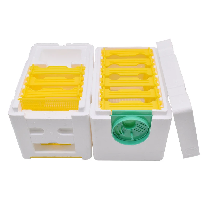 

Пчелиный улей HP06-2, полный набор, двухслойная пена с изображением королевы пчелы, королевская коробка, портативный улей китайской пчелы