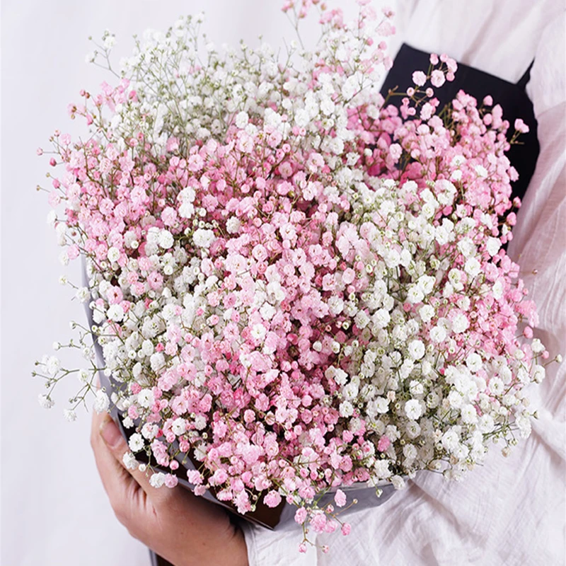 

Gypsophila Preserved Dried Flowers Natural Fresh Paniculata Baby's Breath Flower Bouquets Gift for Wedding Decoration Home Decor