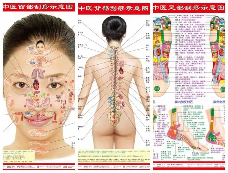 Face, Back, Foot Scraping Diagram (3 Pictures In Total) TCM Health Care Point Meridian Wall Chart Chinese Edition