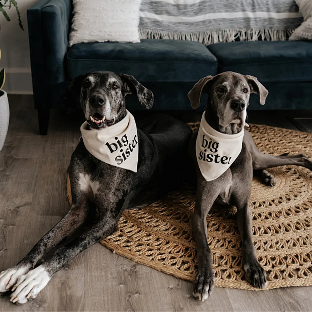 Bandana personalizada para perro, anuncio de embarazo para hermana mayor, fotos de bebé, estilo minimalista, simple, crema de avena boho