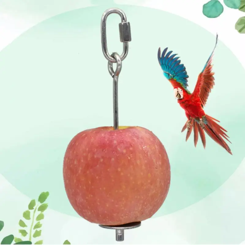 Bird Holder Support Stainless Steel Parrot Fruit Vegetable Feeder Skewer Foraging