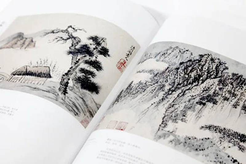 Collection of classics Shi Tao painting drawing art book