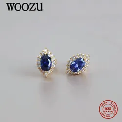 WOOZU 14k Gold Plated 925 Sterling Silver Fashion Blue Pave Crystal Zircon Stud Earrings For Women Party Hip Hop Jewelry Gift