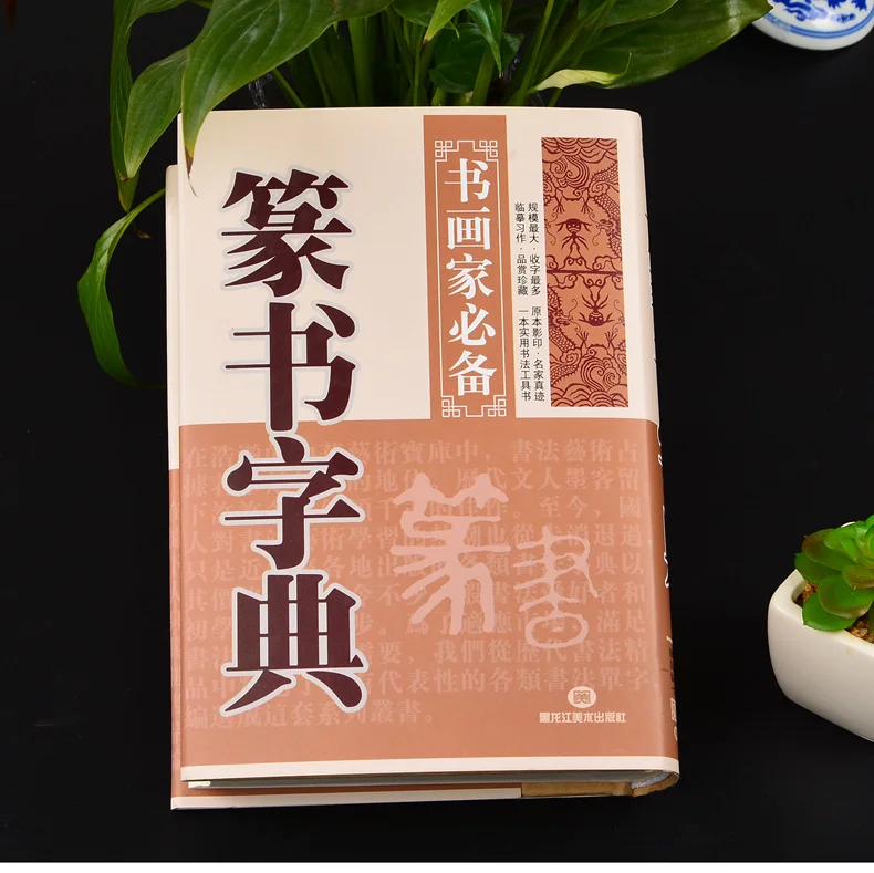 The Seal Character Dictionary For Chinese Calligraphy Zhuan Shu Dictionary 795pages